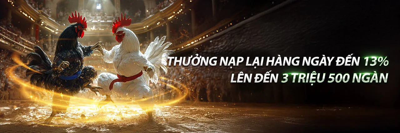 Đá gà Thomo 15/7 trực tiếp tại đấu trường